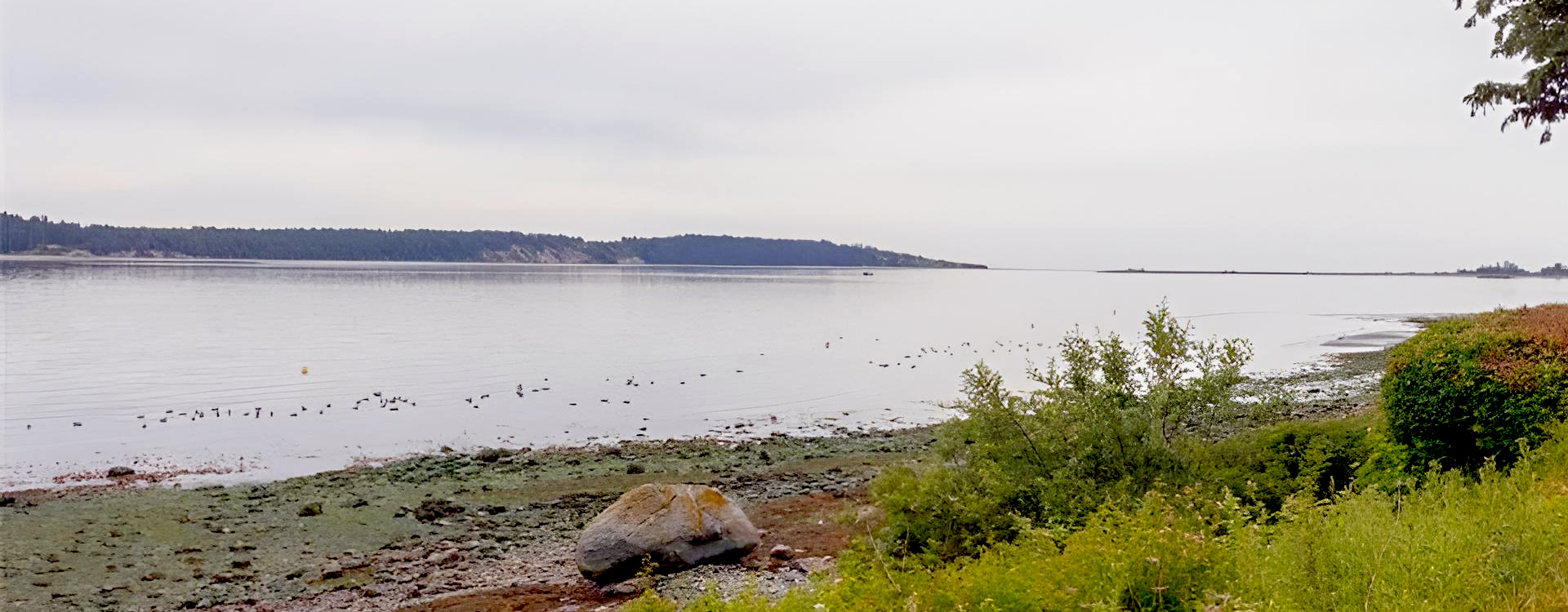 Lochside View Bazan Bay